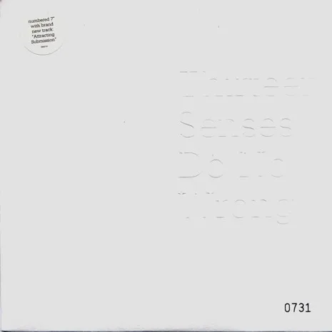Thirteen Senses – Do No Wrong