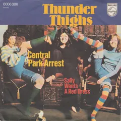 Thunder Thighs* – Central Park Arrest (Vinyl, 7")