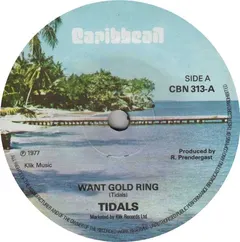 Tidals* – Want Gold Ring (Vinyl, 7")