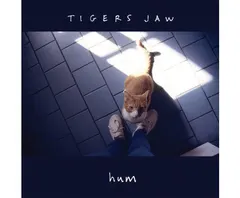 Tigers Jaw – Hum/Cool (Vinyl, 7")