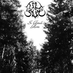 Tiil Sum – In Articulo Mortis (CD, Album)