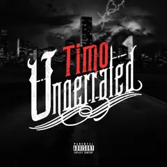 Timo (54) – Underrated (File, AAC)