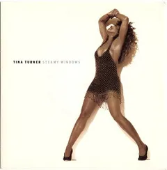 Tina Turner – Steamy Windows (Vinyl, 7")
