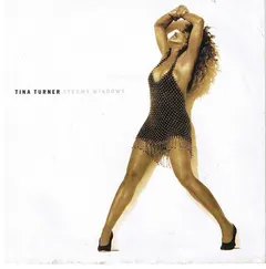 Tina Turner Capitol Records – Steamy Windows (Vinyl, 7")