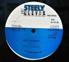 Tinga Stewart – Do I Worry (Vinyl, 12")