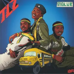 TLZ* – Molue (Vinyl, 12")
