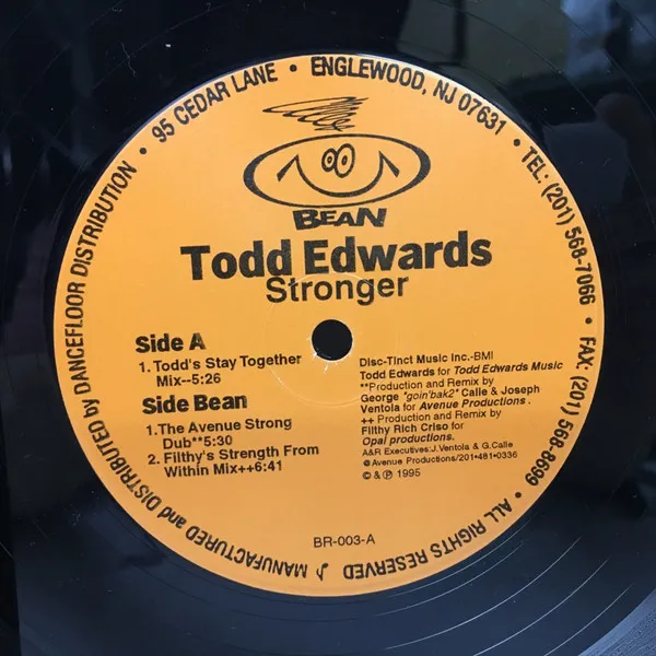 Todd Edwards – Stronger