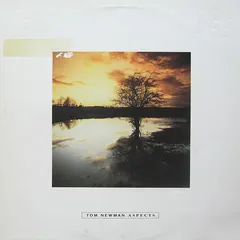 Tom Newman (2) – Aspects (Vinyl, LP)