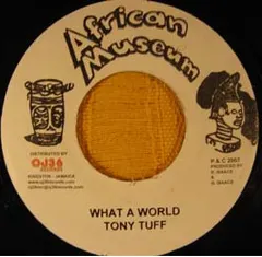 Tony Tuff – What A World (Vinyl, 7")