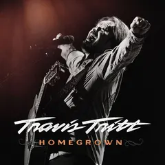 Travis Tritt – Homegrown (CD, Album)
