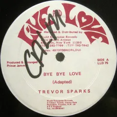 Trevor Sparks – Bye Bye Love (Vinyl, 12")