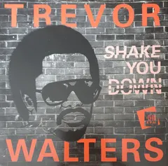 Trevor Walters – Shake You Down (Vinyl, 12")