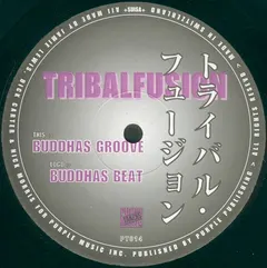 Tribalfusion – Buddhas Groove (Vinyl, 12")