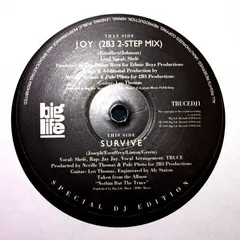 Truce – Joy (Vinyl, 12")