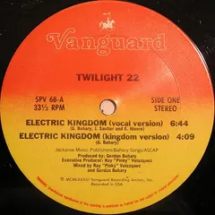 Twilight 22 Vanguard – Electric Kingdom (Vinyl, 12")