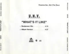 U.N.V.* – What's It Like (CD, Single)