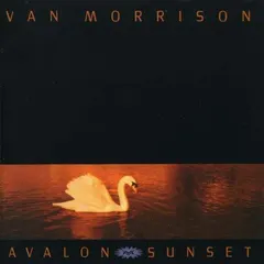 Van Morrison Polydor – Avalon Sunset (Vinyl, LP)