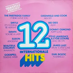 Various – 12 Internationale Hits (Vinyl, LP)