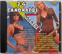 Various – 14 Cañonazos Bailables 2001 (CD, Compilation)
