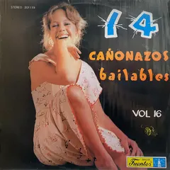 Various – 14 Cañonazos Bailables Vol. 16 (Vinyl, LP)