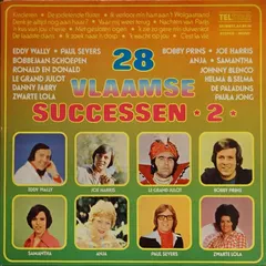 Various – 28 Vlaamse Successen *2* (Vinyl, LP)