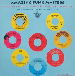 Various – Amazing Funk Masters (Vinyl, LP)