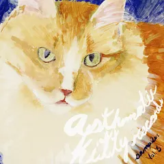 Various – Asthmatic Kitty Sampler Vol. 3 (CD, Compilation)