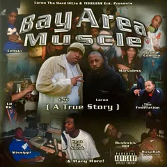 Various – Bay Area Muscle (CD, Compilation)