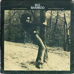 Various – Big Bamboo Sample (Vinyl, LP)