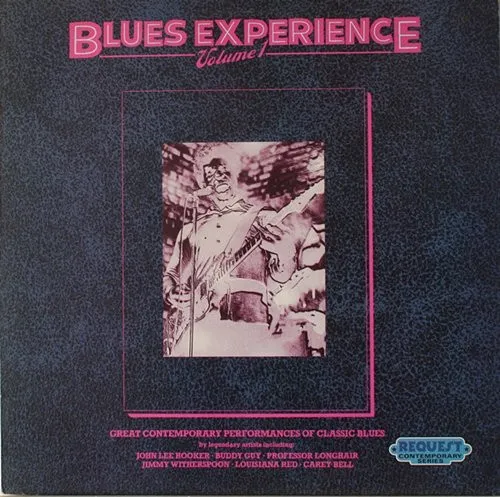 Various – Blues Experience Volume 1