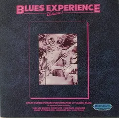 Various – Blues Experience Volume 1 (Vinyl, LP)