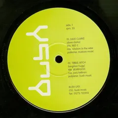 Various – Bush Records Compilation (Vinyl, 12")