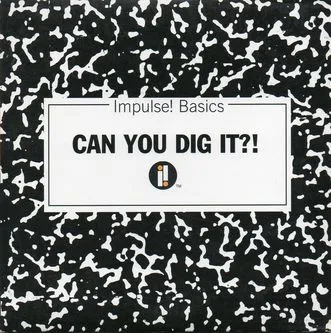 Various – Can You Dig It?!