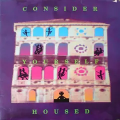 Various – Consider Yourself Housed (Vinyl, LP)