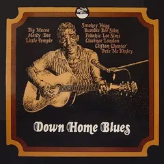 Various Specialty – Down Home Blues (Vinyl, LP)