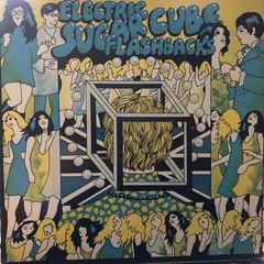 Various – Electric Sugar Cube Flashbacks (Vinyl, LP)