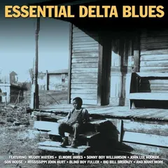 Various Not Now Music – Essential Delta Blues (CD, Compilation)