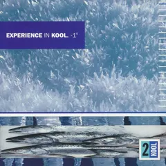 Various – Experience In Kool. -1° (CD, Compilation)