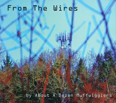 Various – From The Wires by About A Dozen Muffwigglers (CD, Album)