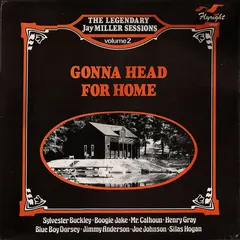 Various – Gonna Head For Home (Vinyl, LP)