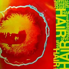 Various Polydor – Hair (Vinyl, LP)