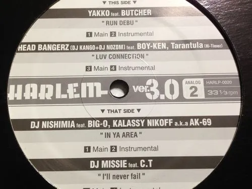 Various – Harlem Ver.3.0 - Analog 2