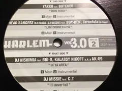 Various – Harlem Ver.3.0 - Analog 2 (Vinyl, 12")