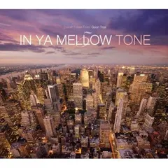 Various – In Ya Mellow Tone 5 (CD, Compilation)