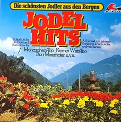 Various – Jodel Hits (Vinyl, LP)