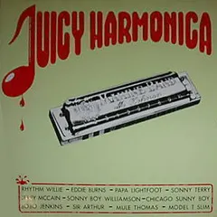 Various – Juicy Harmonica (Harmonica Blues) (Vinyl, LP)