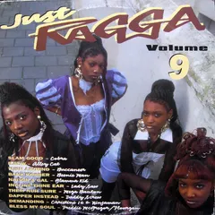 Various – Just Ragga Volume 9 (Vinyl, LP)