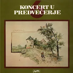 Various – Koncert U Predvečerje 6 (Vinyl, LP)