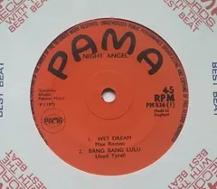 Various – Night Angel (Vinyl, 7")