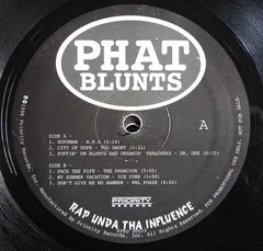 Various – Phat Blunts - Rap Unda Tha Influence (Vinyl, LP)